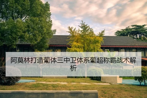 阿莫林打造葡体三中卫体系葡超称霸战术解析